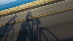 shadows of bicycles on the road