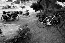 Three fully loaded touring bicycles leaning against a tree, a bench, and standing.