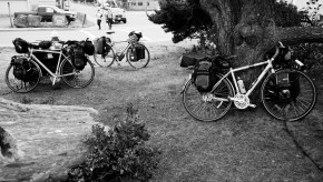 Three fully loaded touring bicycles leaning against a tree, a bench, and standing.