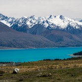 Teal blue Lake Pukaki and snow capped mountains