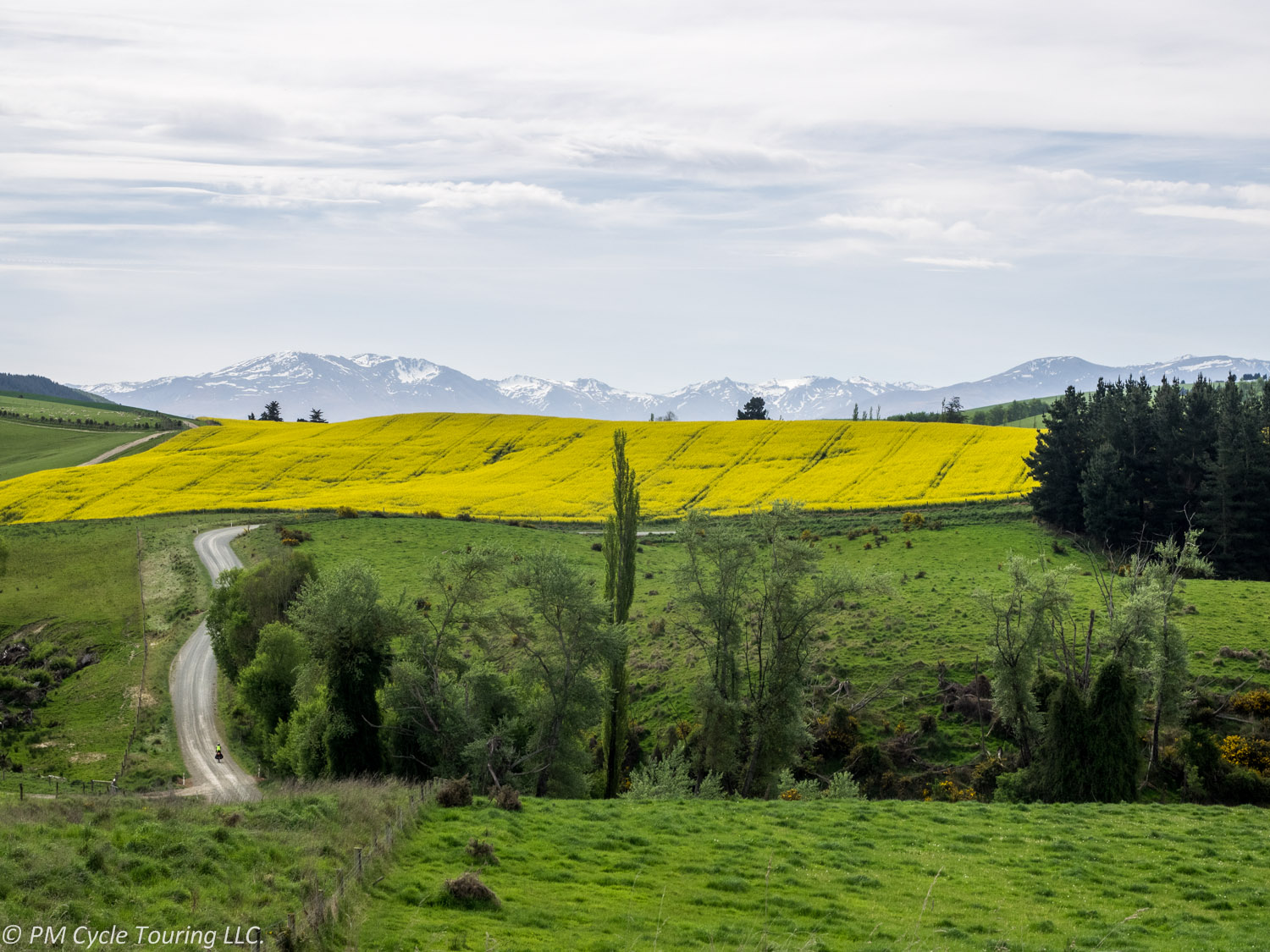 Yellow fields in background, green fields in foreground, mountains in the distance